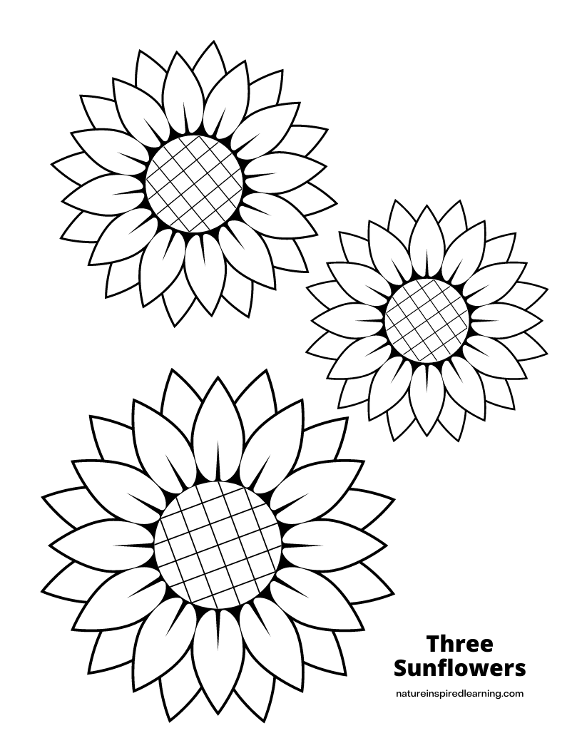 Printable sunflower templates sunflower coloring pages summer coloring pages sunflower template