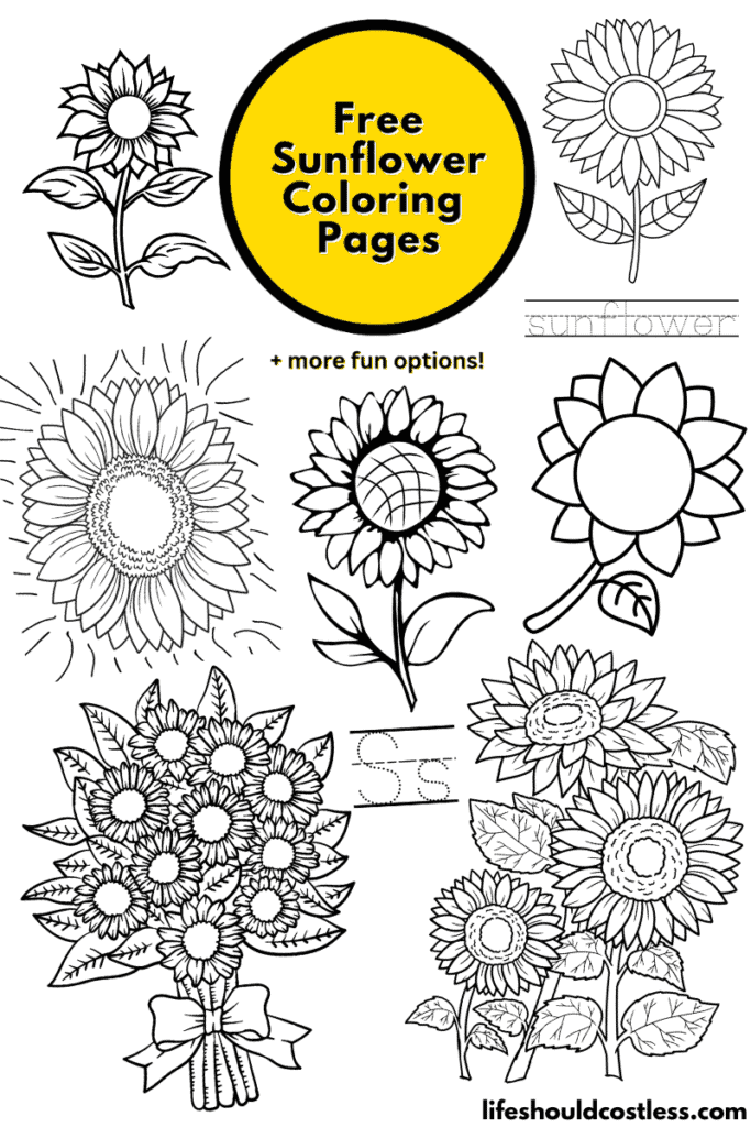 Sunflower coloring pages free printable pdf templates