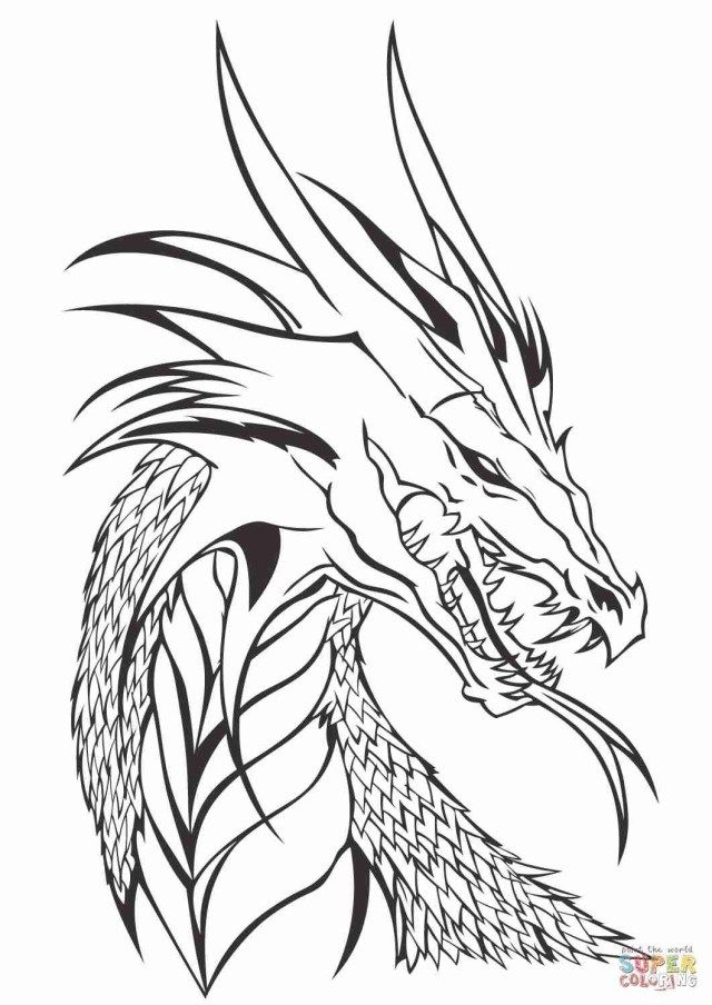 Best picture of printable dragon coloring pages