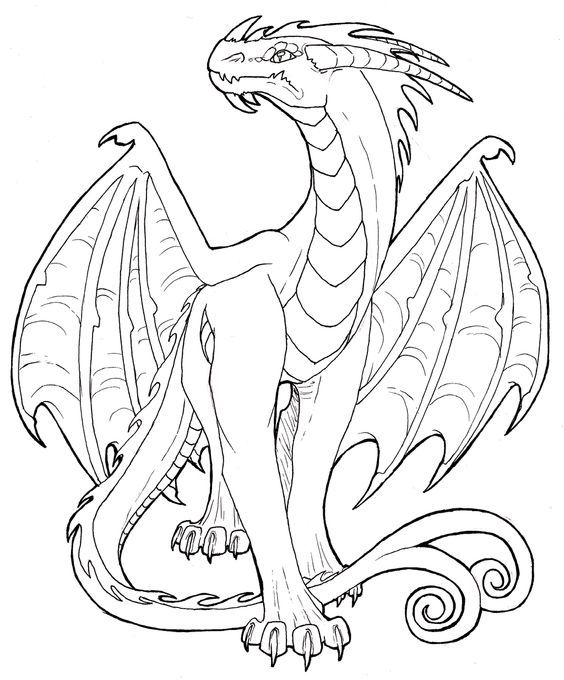 Dipokk i will draw amazing digital coloring book page for adults and kids for on fiverrcom dragon drawing dragon coloring page dragon artwork