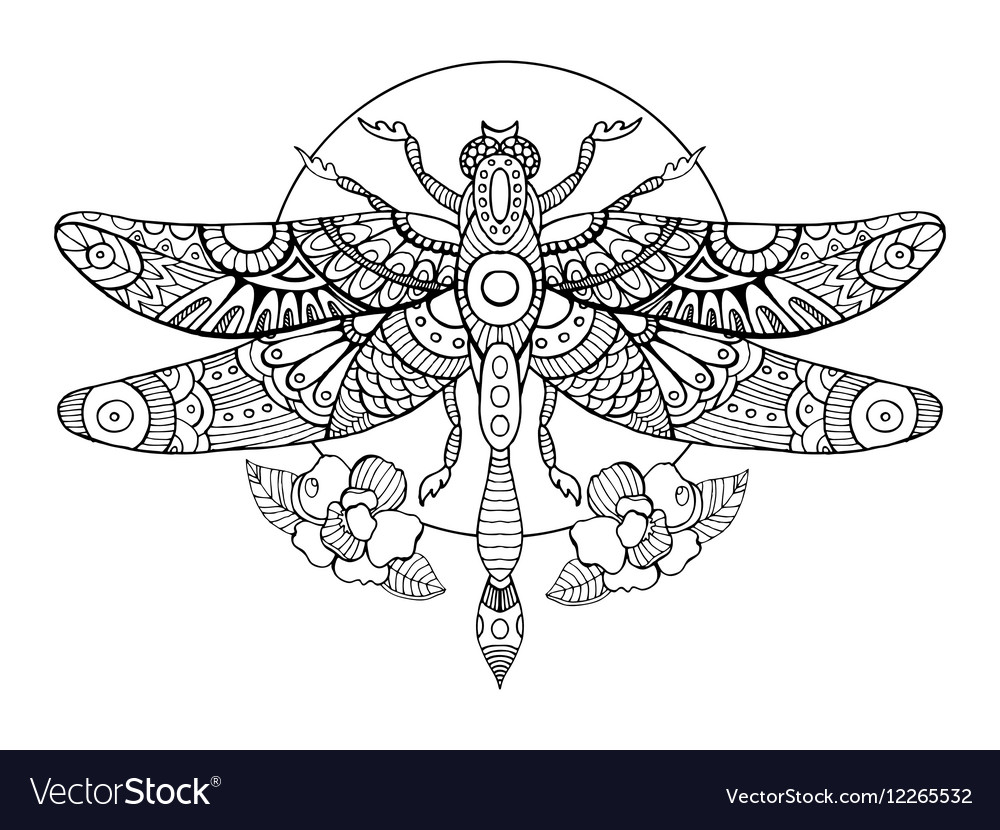 Dragonfly coloring book for adults royalty free vector image