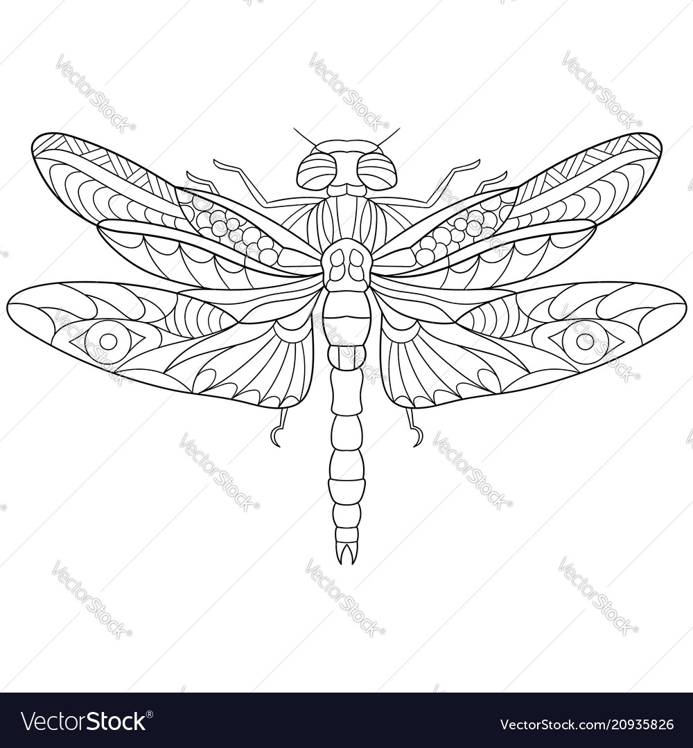 Dragonfly coloring page royalty free vector image