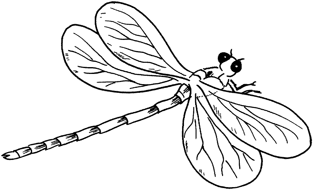 Awesome free dragonfly free coloring pages butterfly coloring page coloring pages for kids coloring pages