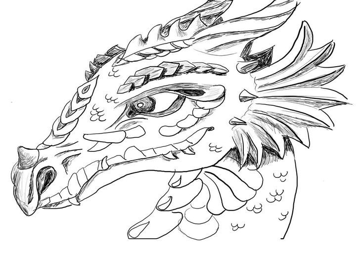 Hard coloring pages for adults dragon face coloring page dragon coloring page realistic dragon detailed coloring pages