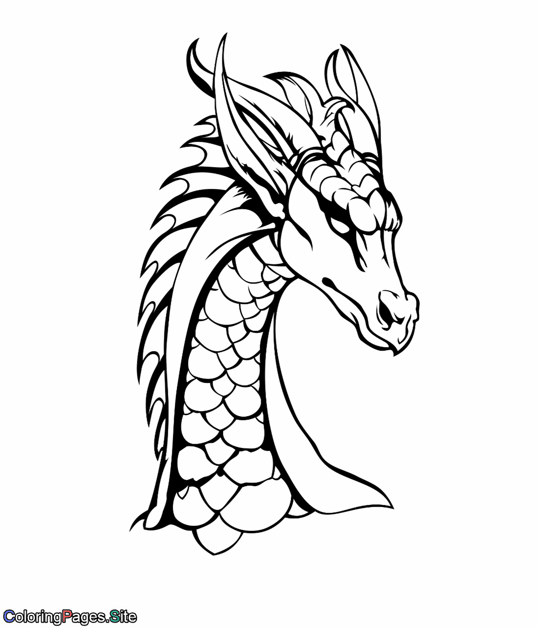 Dragon head coloring page ð ðññðððº ððððððñ ðñðððððððµ