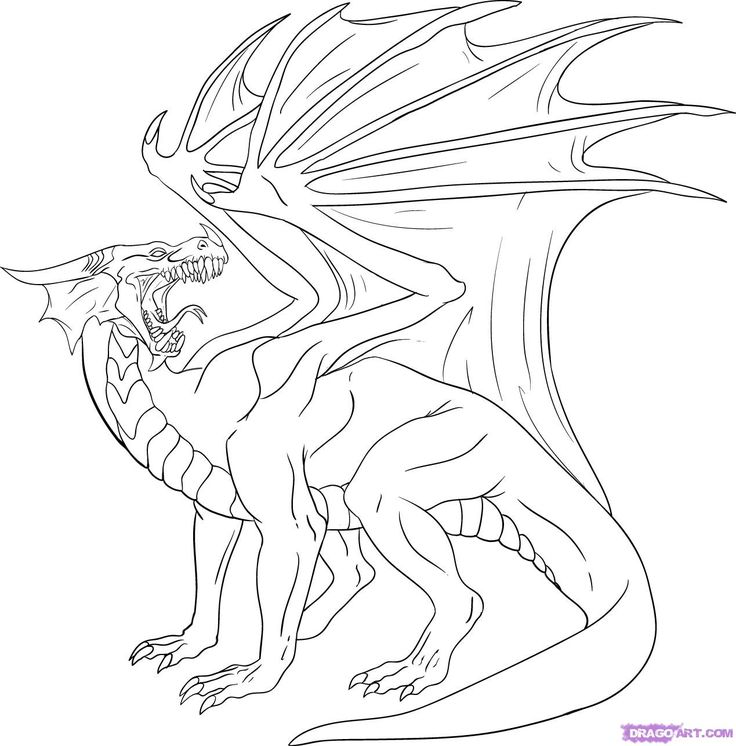 Pin by anne on piirrokset dragon coloring page realistic dragon dragon drawing