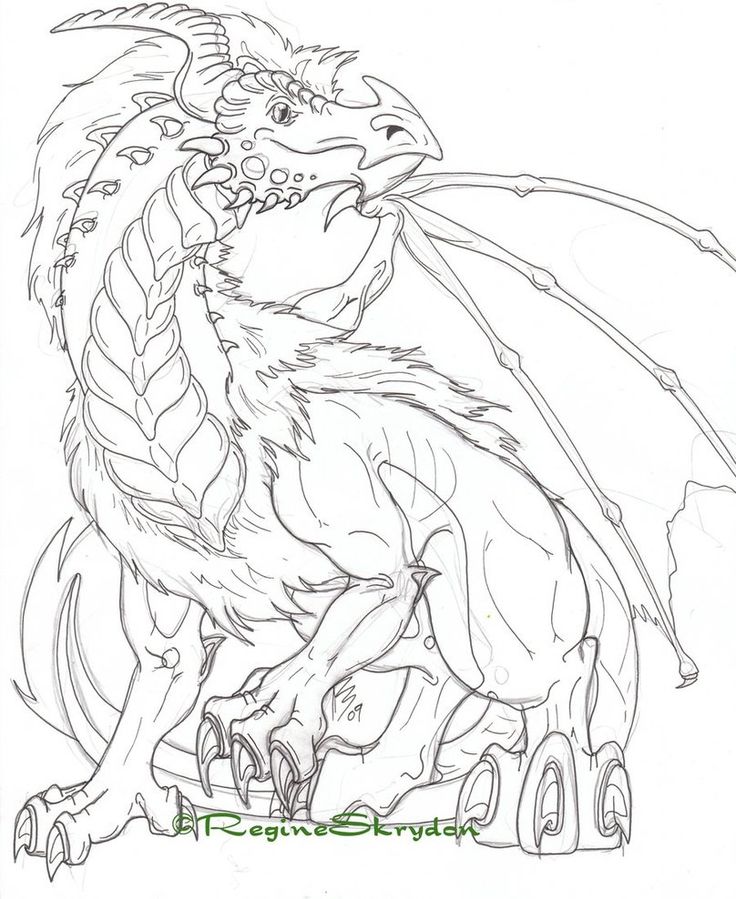 Red dragon sketch dragon coloring page detailed coloring pages dragon sketch