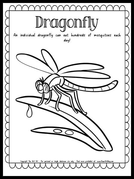 Dragonfly coloring page with fun fact free printable download â the art kit