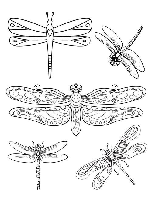 Dragonfly coloring pages for kids and adults