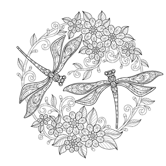 Digital printable beautiful dragonfly coloring pages medium difficulty details pages