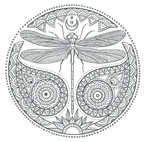 Printable coloring pages dragonfly drawing mandala coloring pages mandala coloring