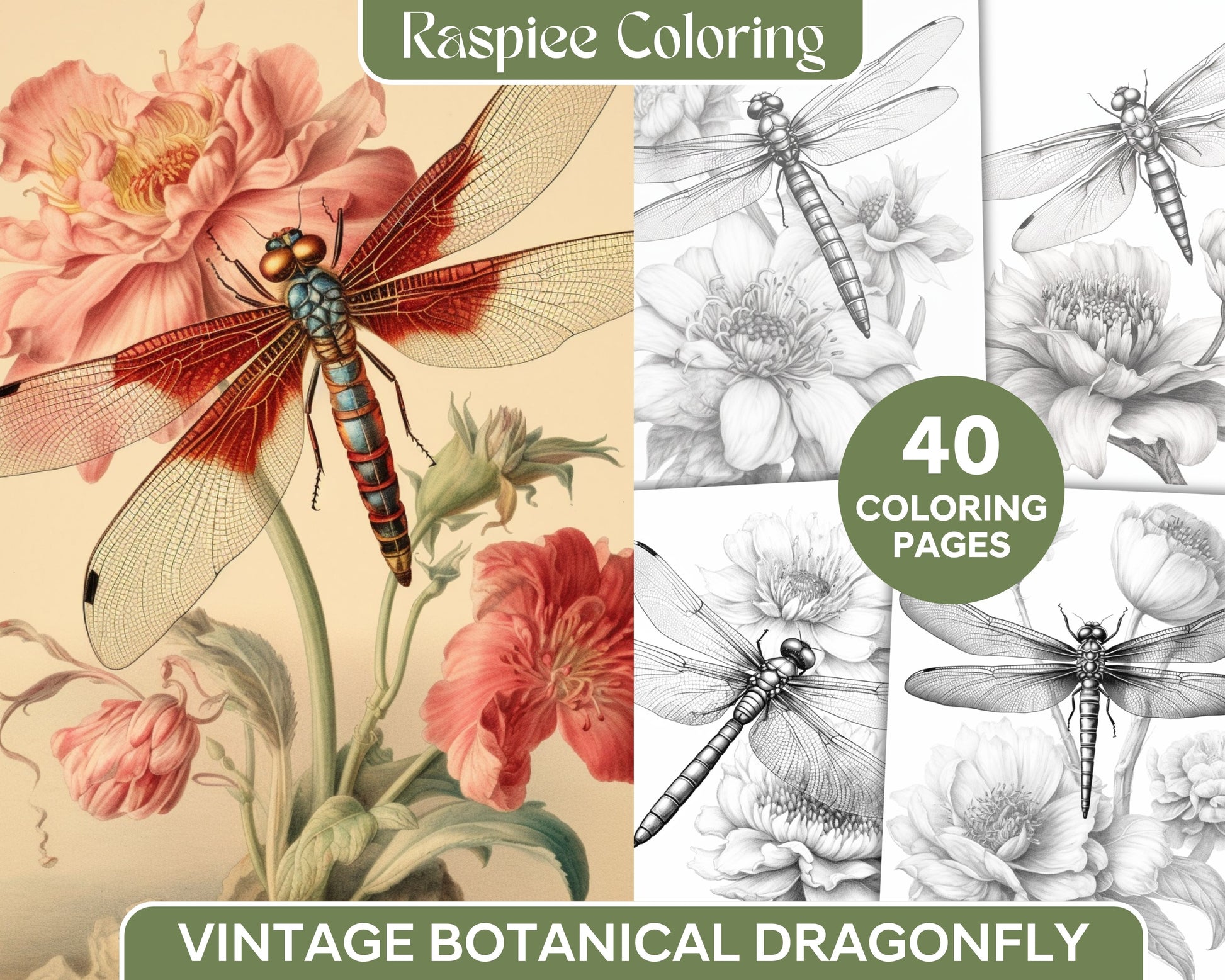 Vintage botanical dragonfly grayscale coloring pages printable for adu â coloring