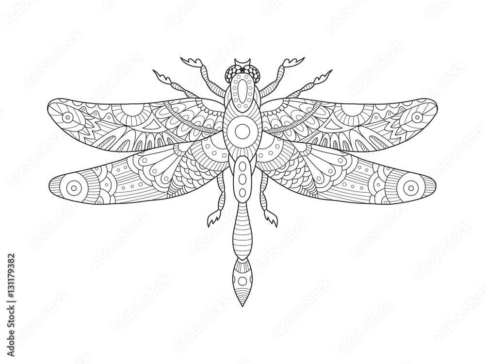 Dragonfly coloring book for adults vector vector