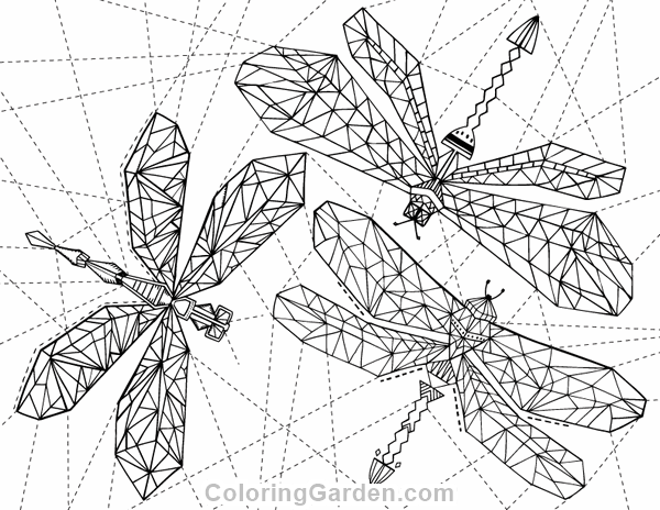 Geometric dragonfly adult coloring page