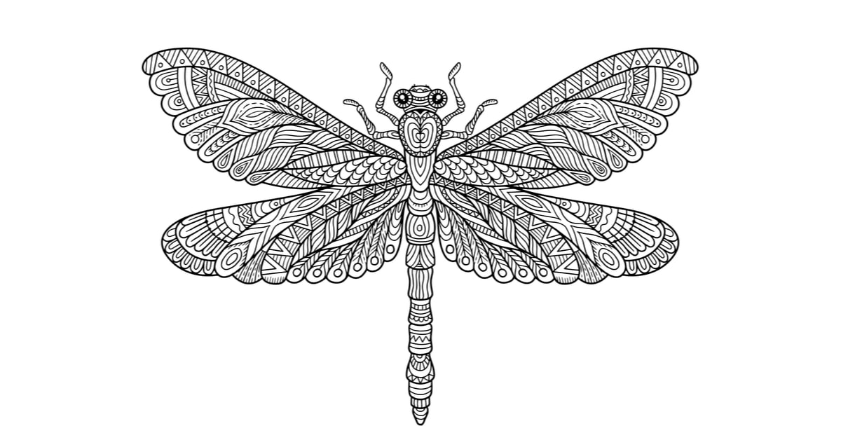 Free dragonfly coloring page