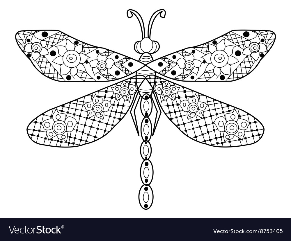 Dragonfly coloring for adults royalty free vector image