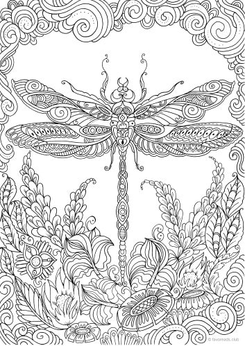 Dragonfly â favoreads coloring club