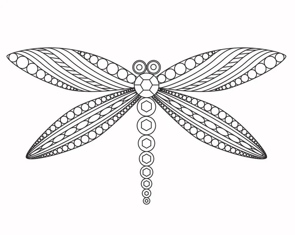 Dragonfly coloring vector images