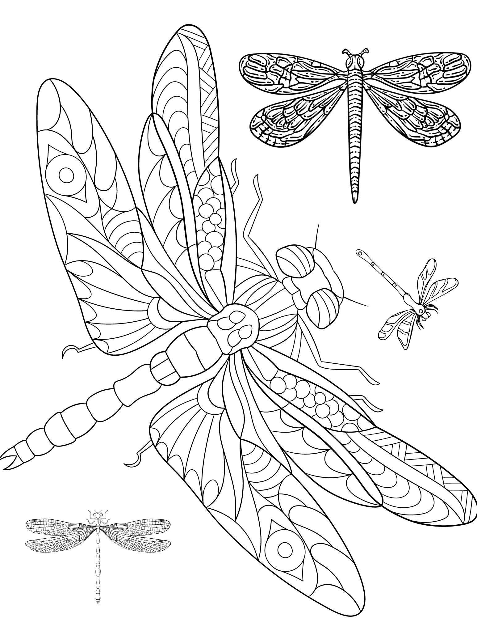 Dreamy dragonfly coloring pages for kids and adults