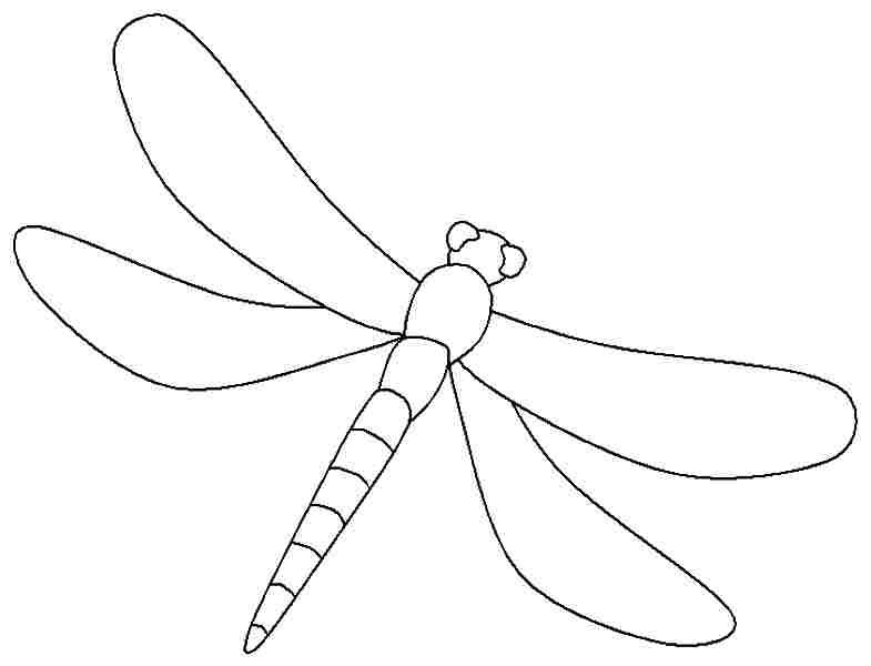 Dragonfly printable coloring pages