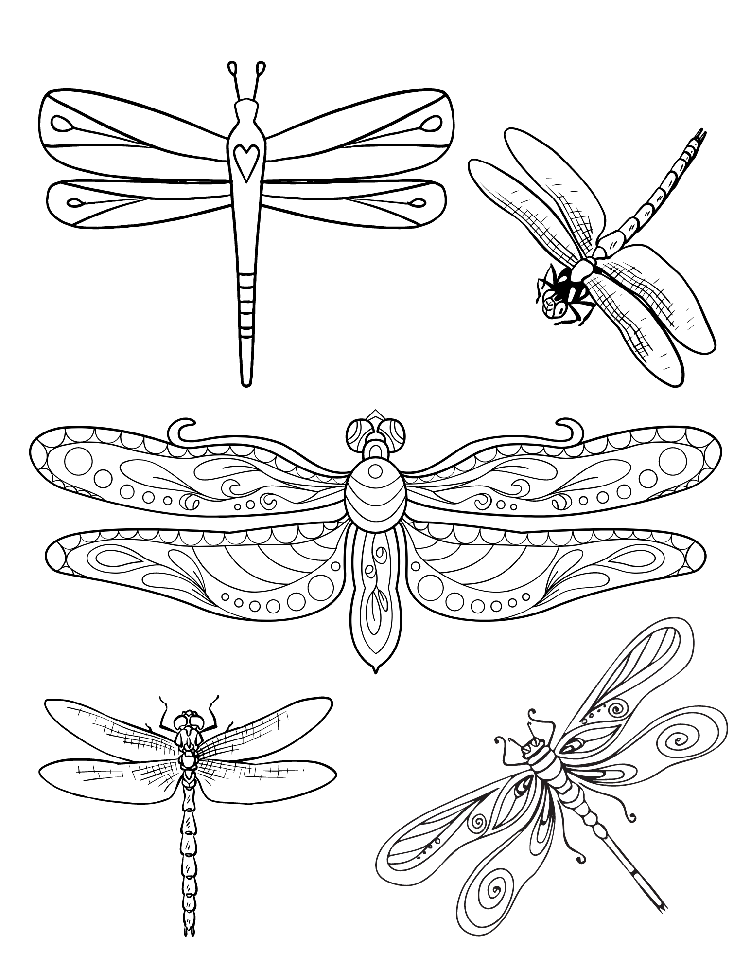 Dreamy dragonfly coloring pages for kids and adults