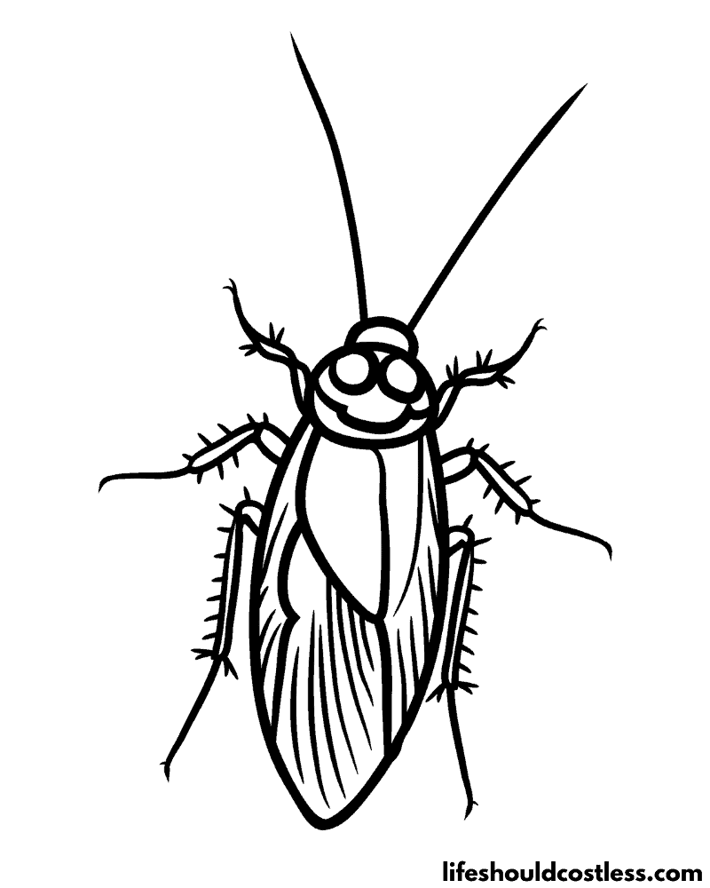 Cockroach coloring pages free printable pdf templates