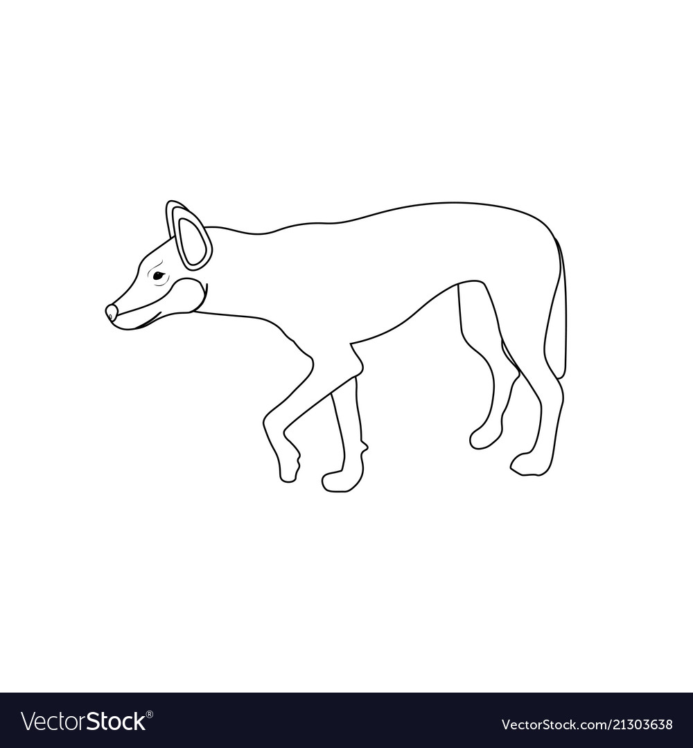 Australian dingo coloring pages royalty free vector image