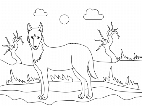 Dingo coloring pages free coloring pages