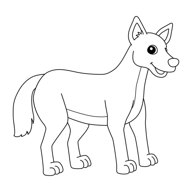 Dingo animal coloring page isolated for kids stock illustration