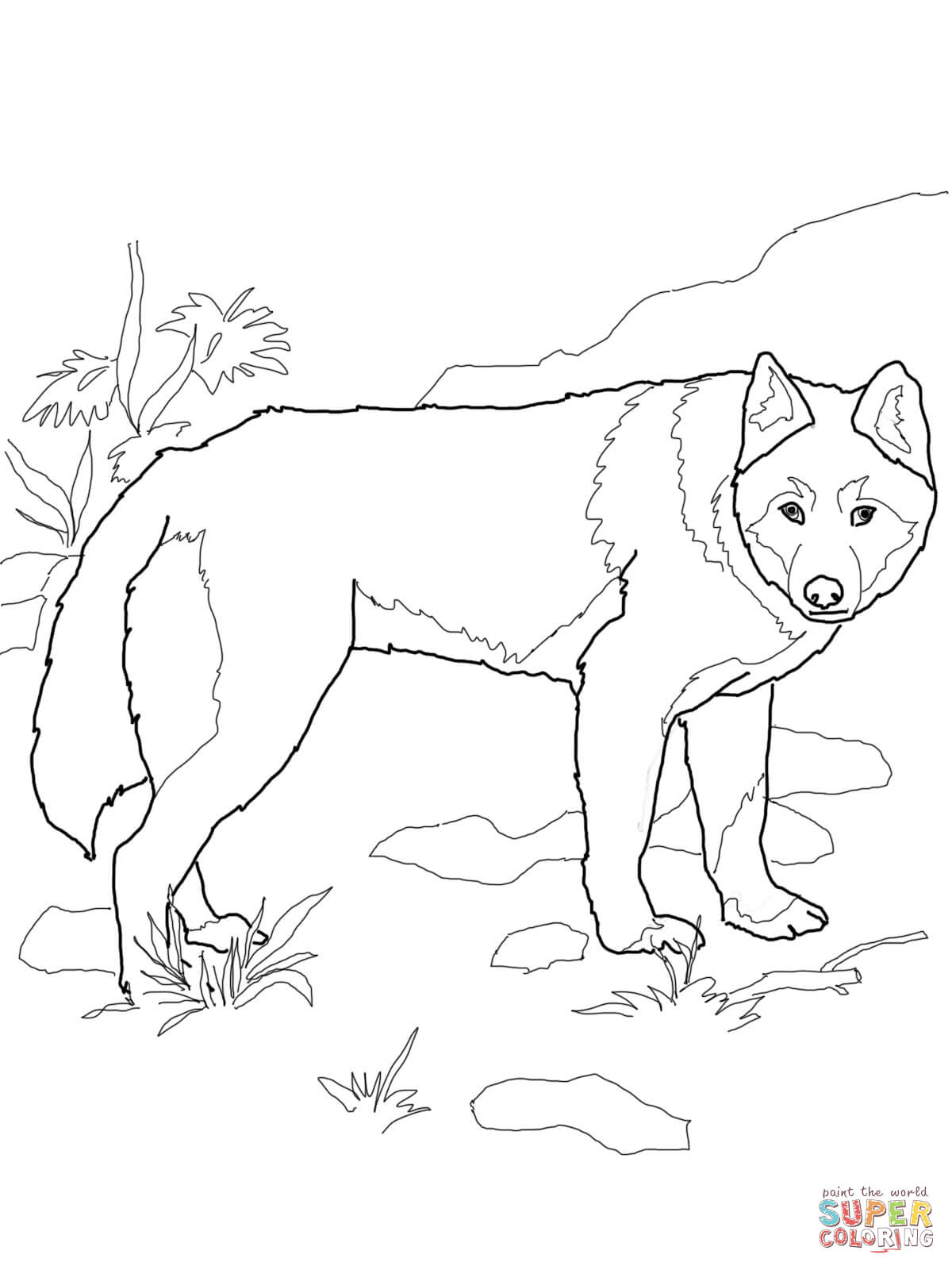 Dingo wild dog coloring page free printable coloring pages