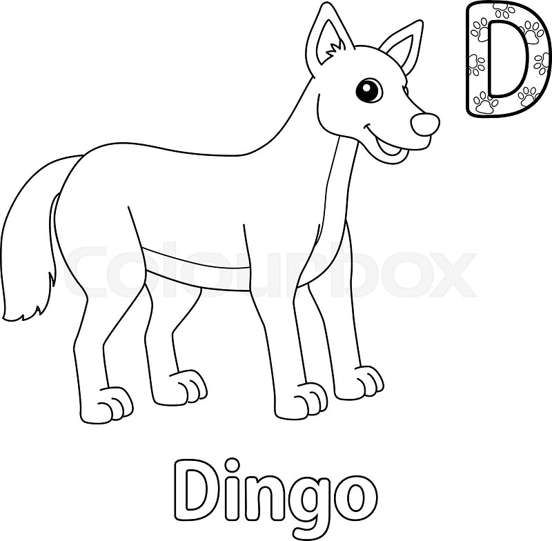 Dingo alphabet abc coloring page d stock vector