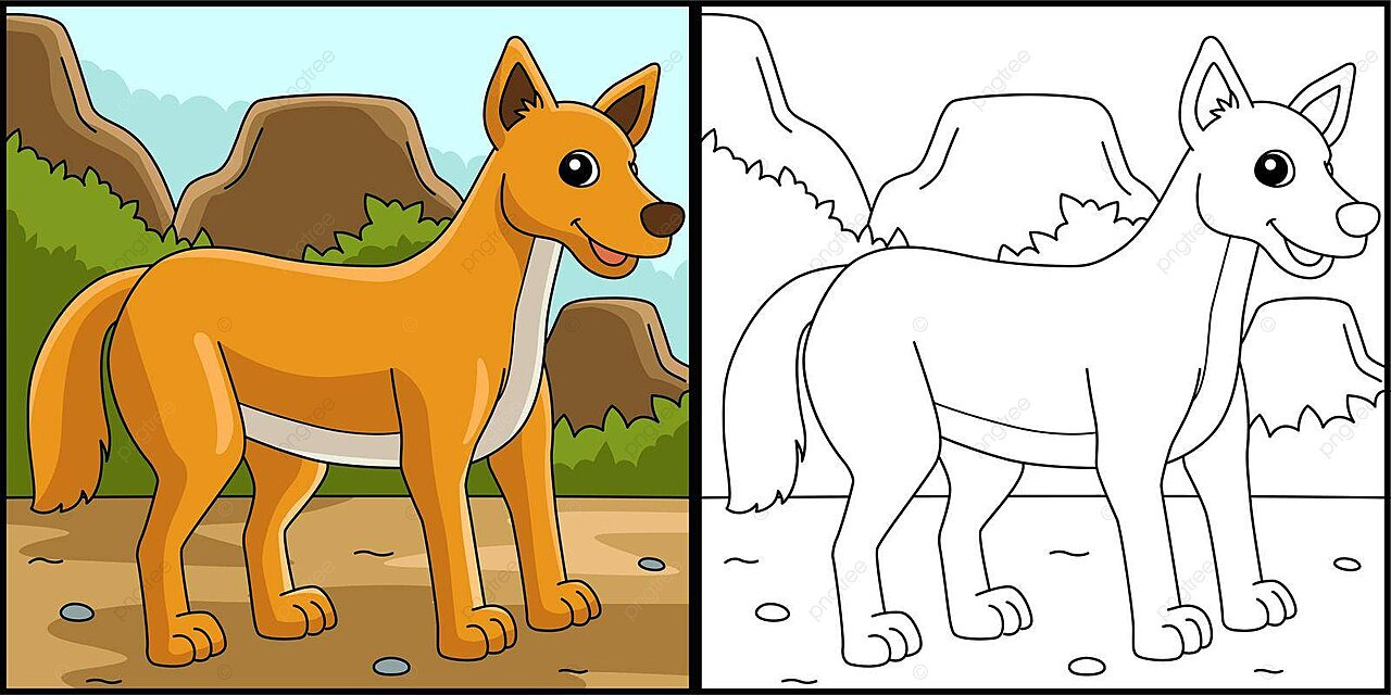 Dingo animal coloring page colored illustration predator canis dingo kids vector animal drawing rat drawing ring drawing png and vector with transparent background for free download