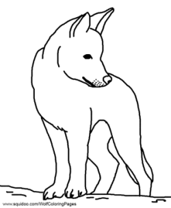 Desert coloring pages desert animals coloring animal outline horse coloring pages