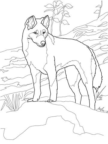 Dingo from australia coloring page free printable coloring pages dog coloring page horse coloring pages animal coloring pages