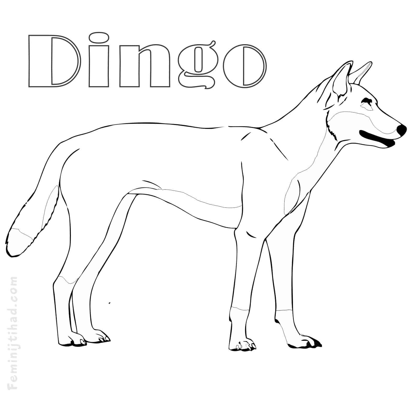 Easy dingo coloring pages pdf
