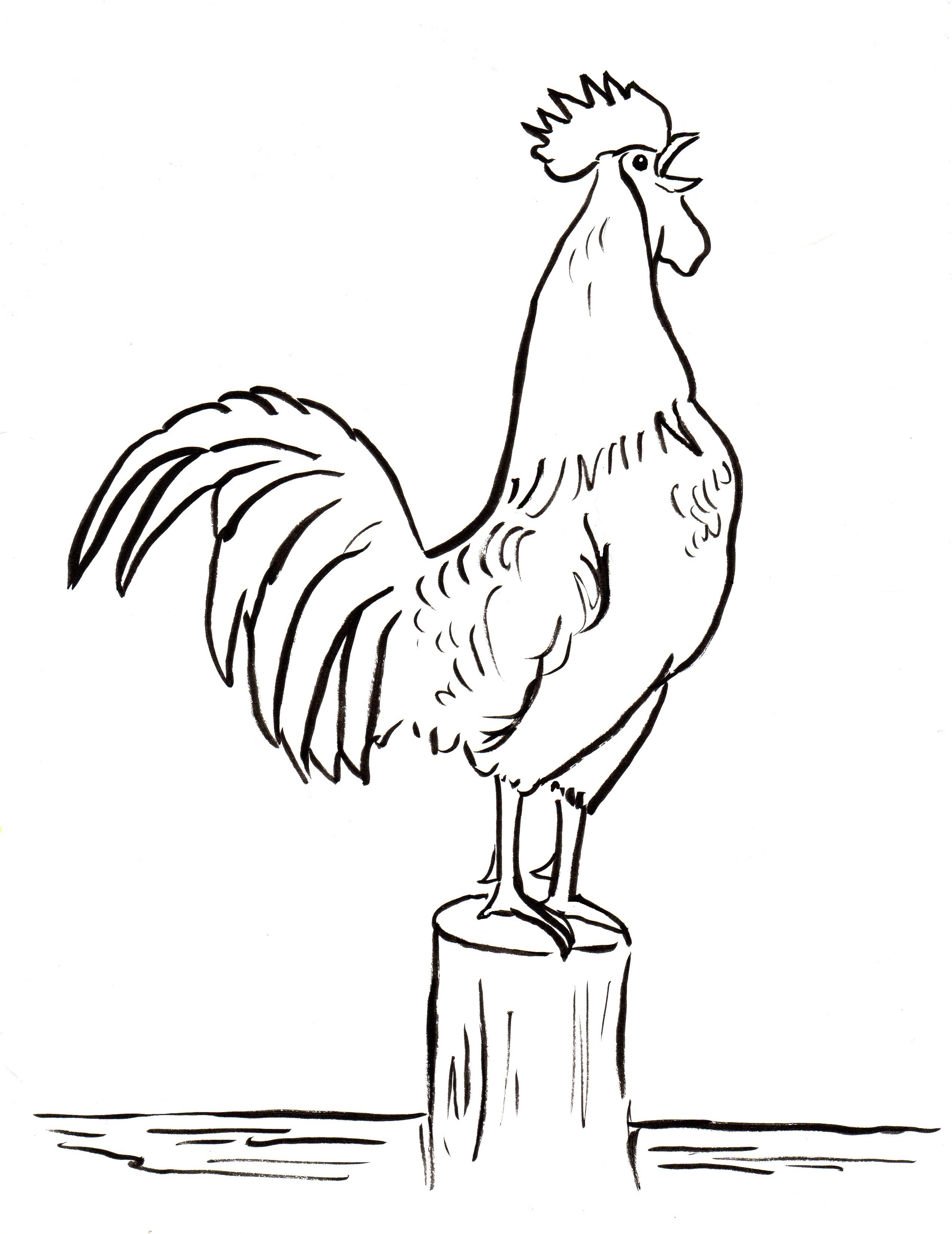 Rooster coloring page