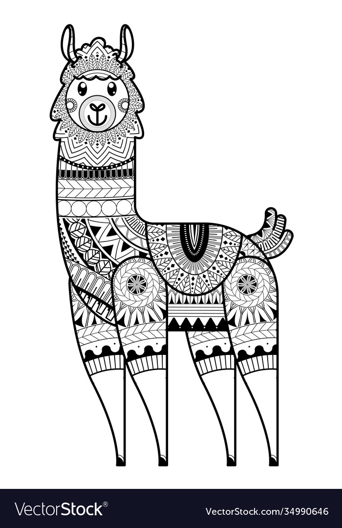 Alpaca design for coloring book royalty free vector image