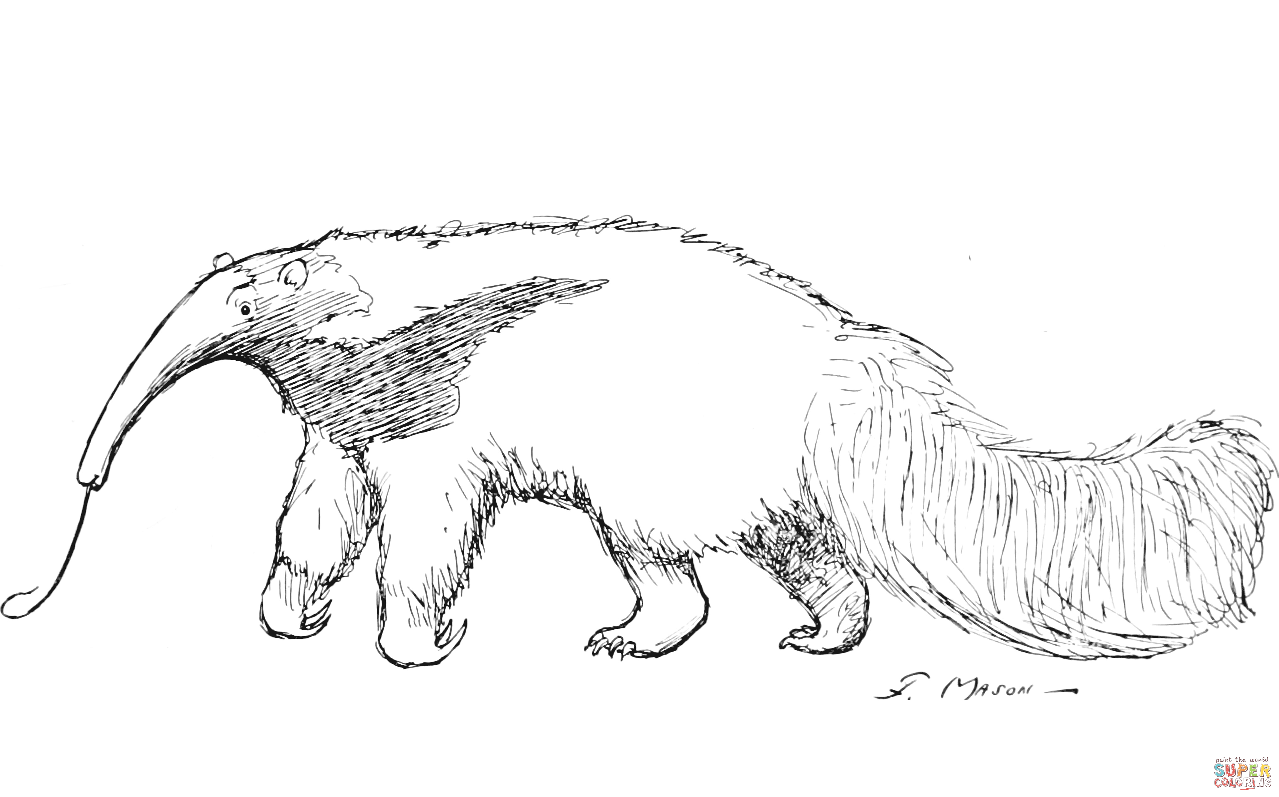 Giant anteater coloring page free printable coloring pages