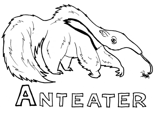 Anteater coloring