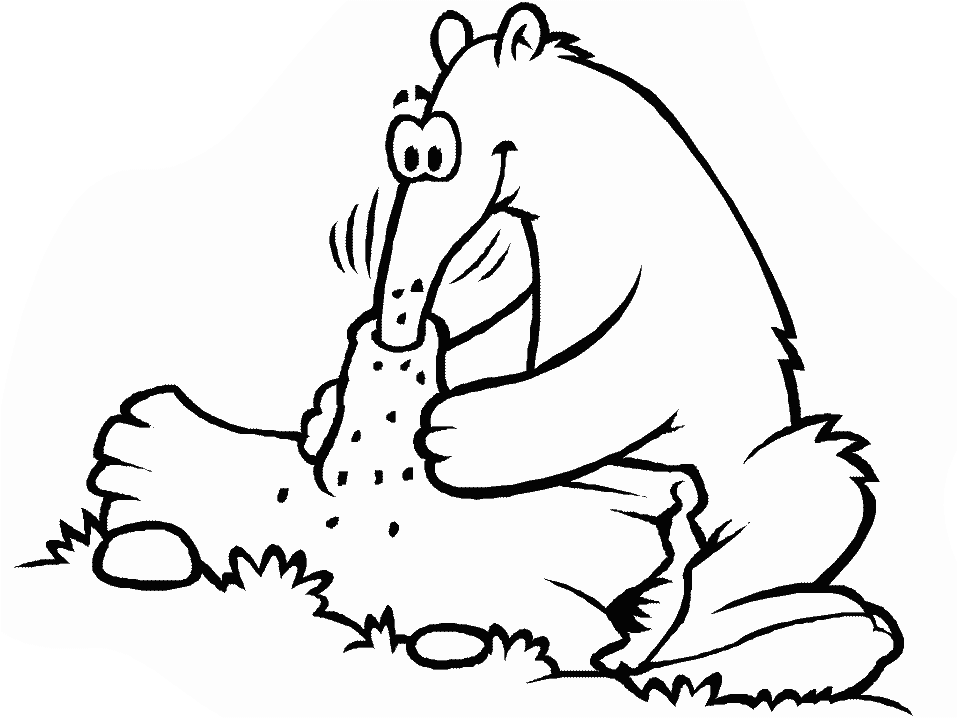 Anteater coloring pages