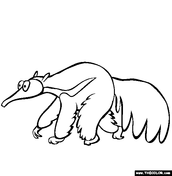 Anteater coloring page free anteater online coloring