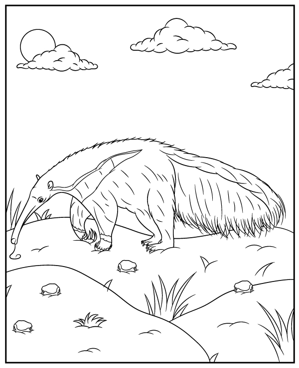 Anteater coloring page to print