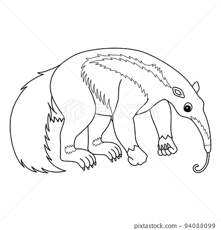 Giant anteater animal isolated coloring page