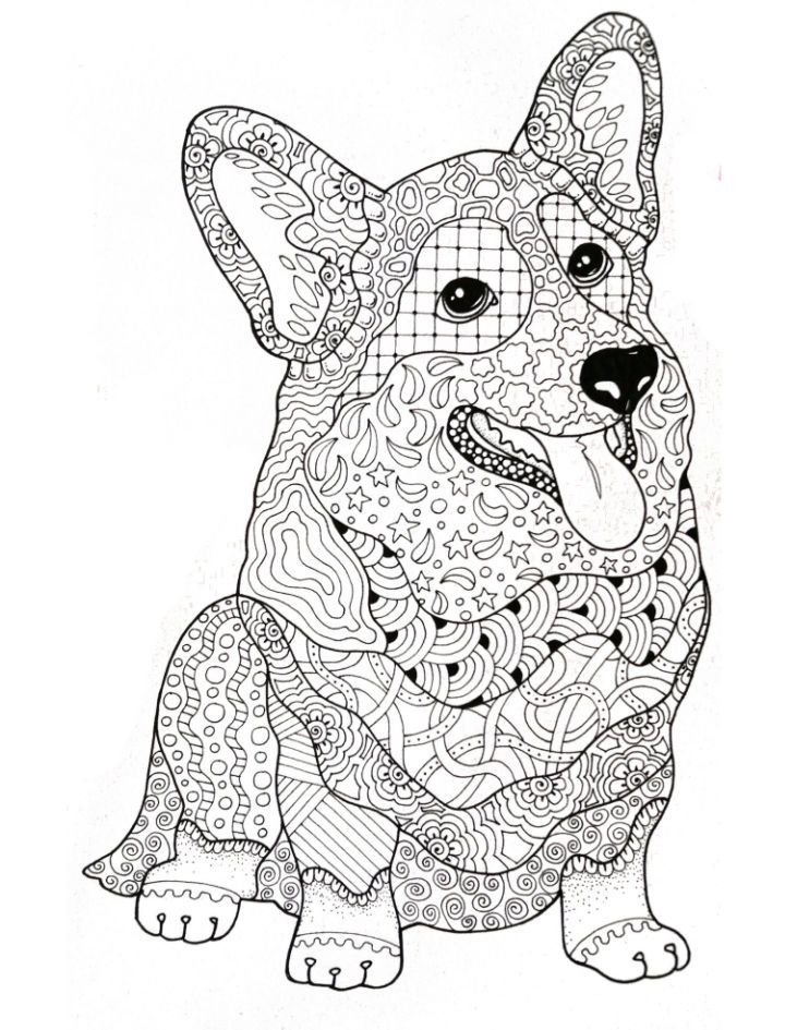 Cute corgi coloring pages free printable horse coloring pages animal coloring pages bear coloring pages