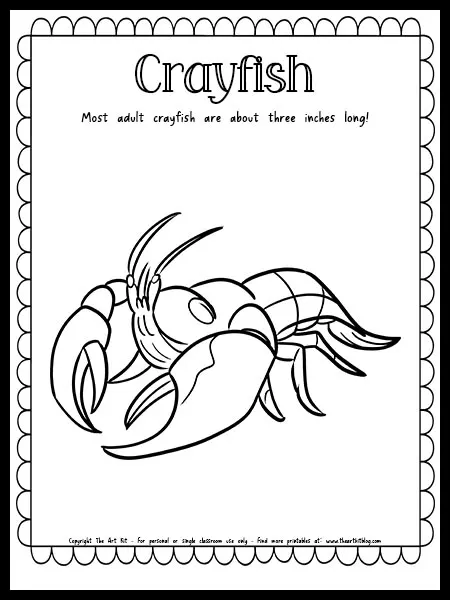 Crayfish coloring page with fun fact free printable download â the art kit