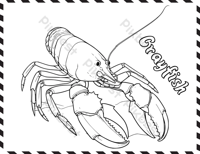 Crayfish coloring drawing pages for preschool and kindergarten kids png images eps free download