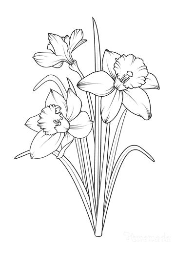 Free printable spring coloring pages for kids adults watercolor flower art flower line drawings flower sketches