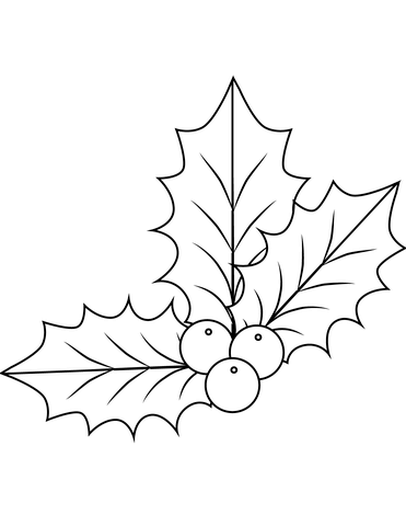 Xmas holly coloring page free printable coloring pages