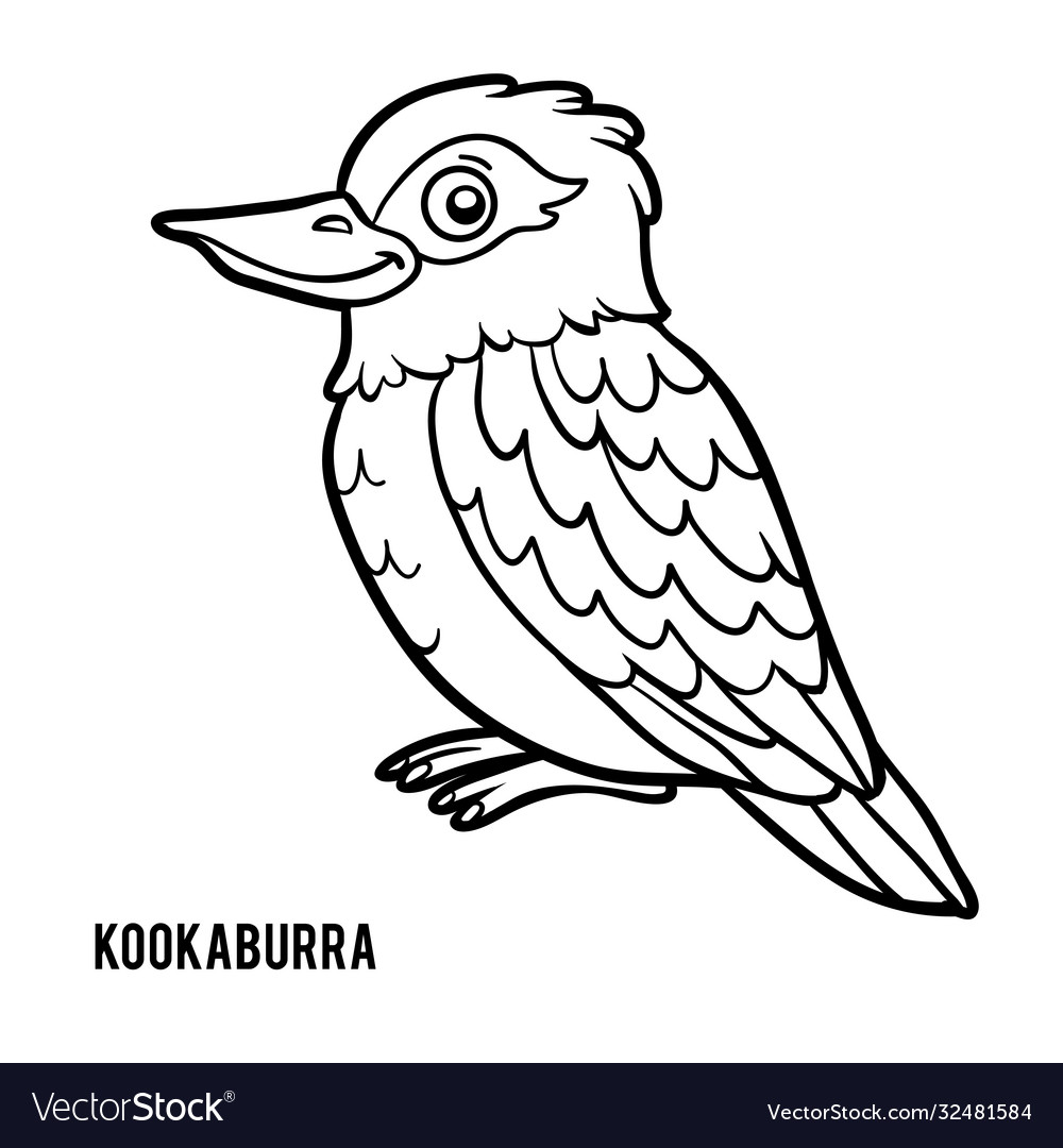 Coloring book kookaburra royalty free vector image