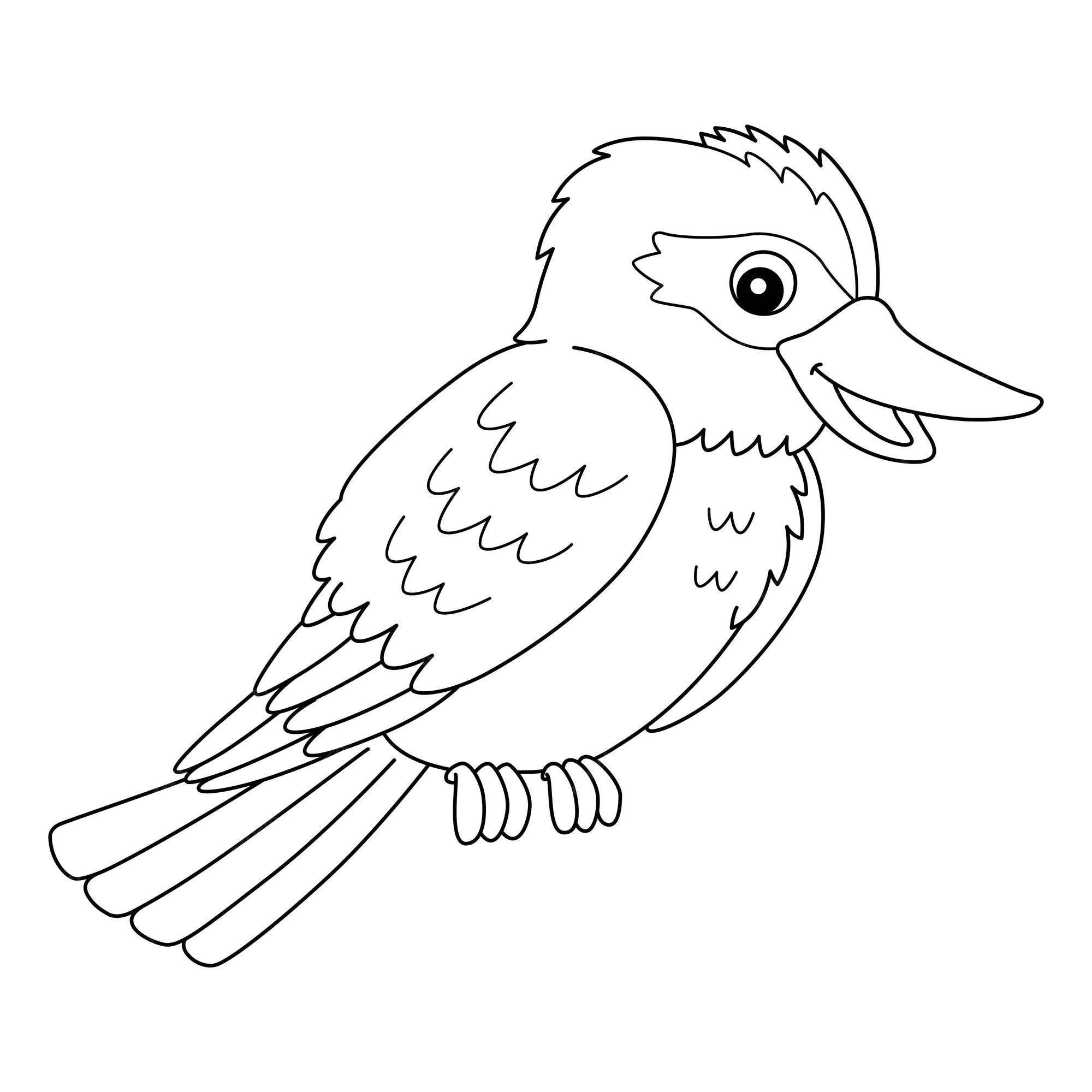 Premium vector kookaburra animal coloring page isolated for kids